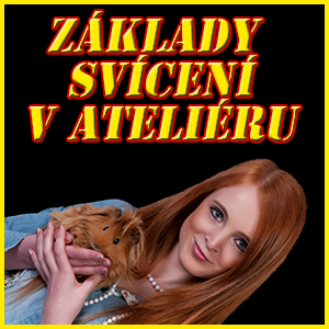 Individuální kurz Základy svícení v ateliéru